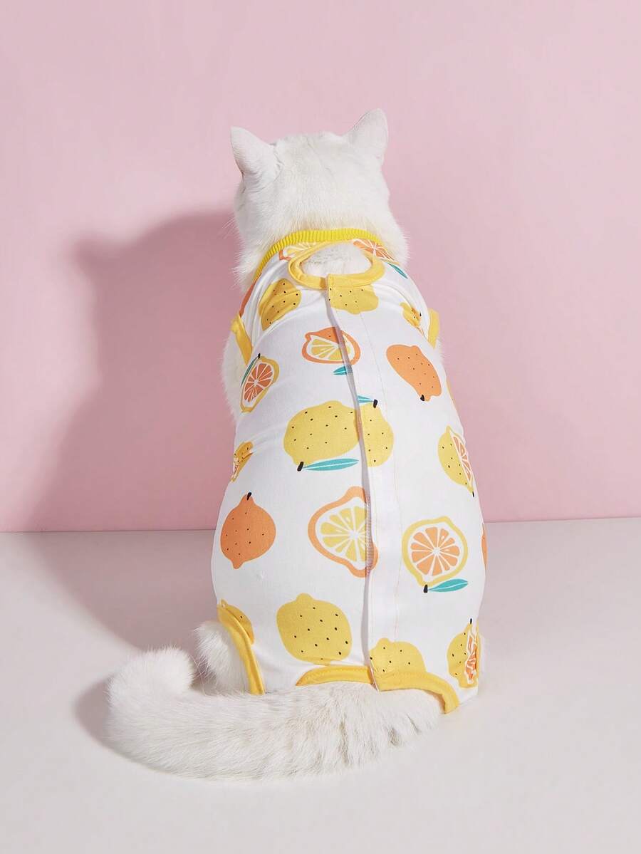KittyGuard