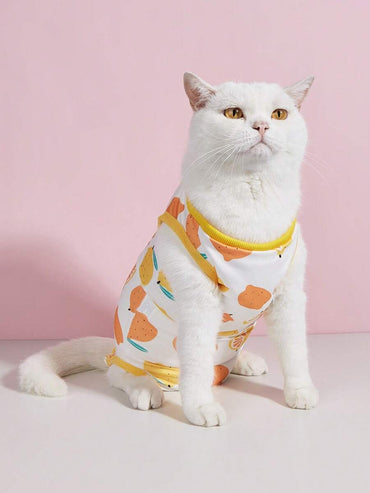 KittyGuard