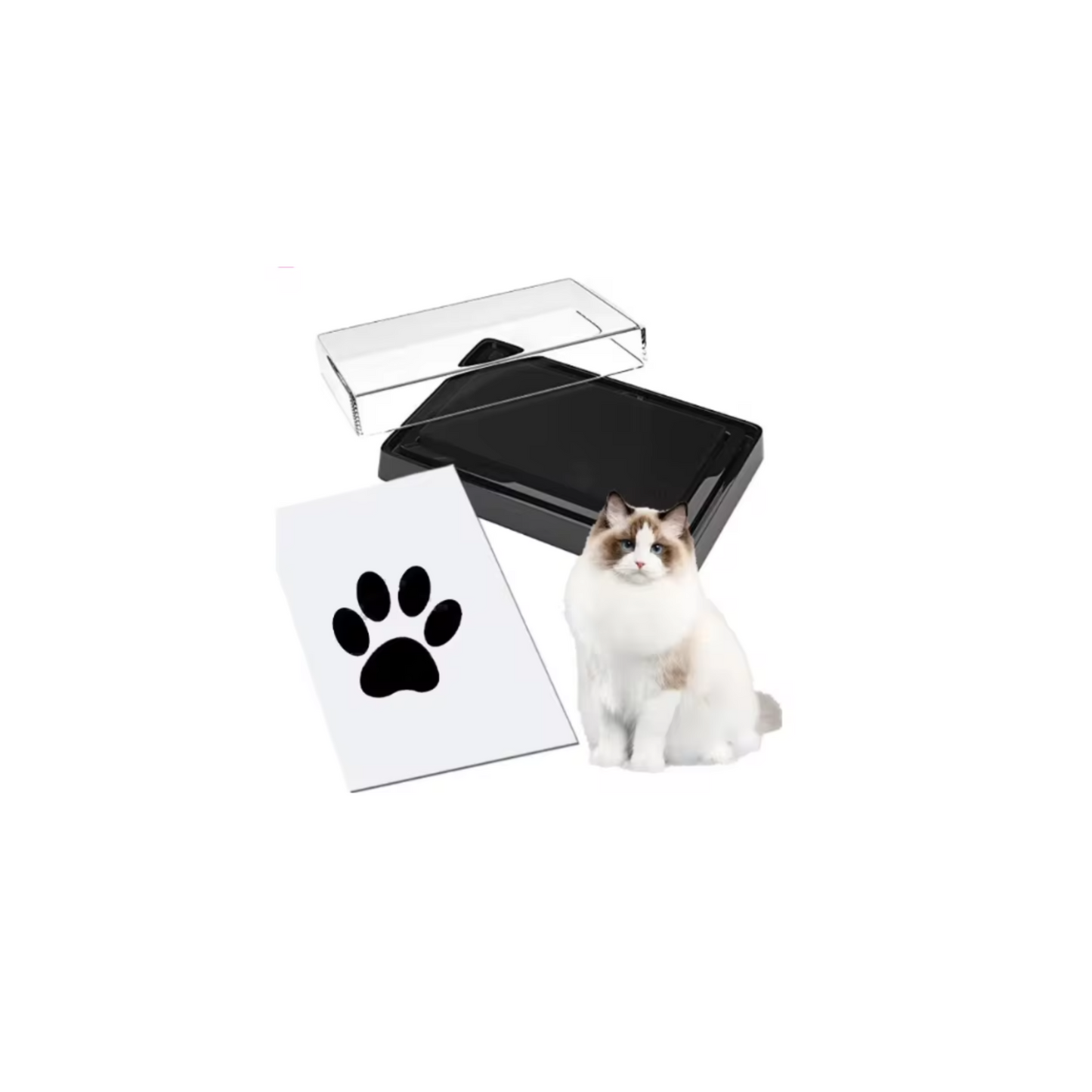 InkyPaws Prints