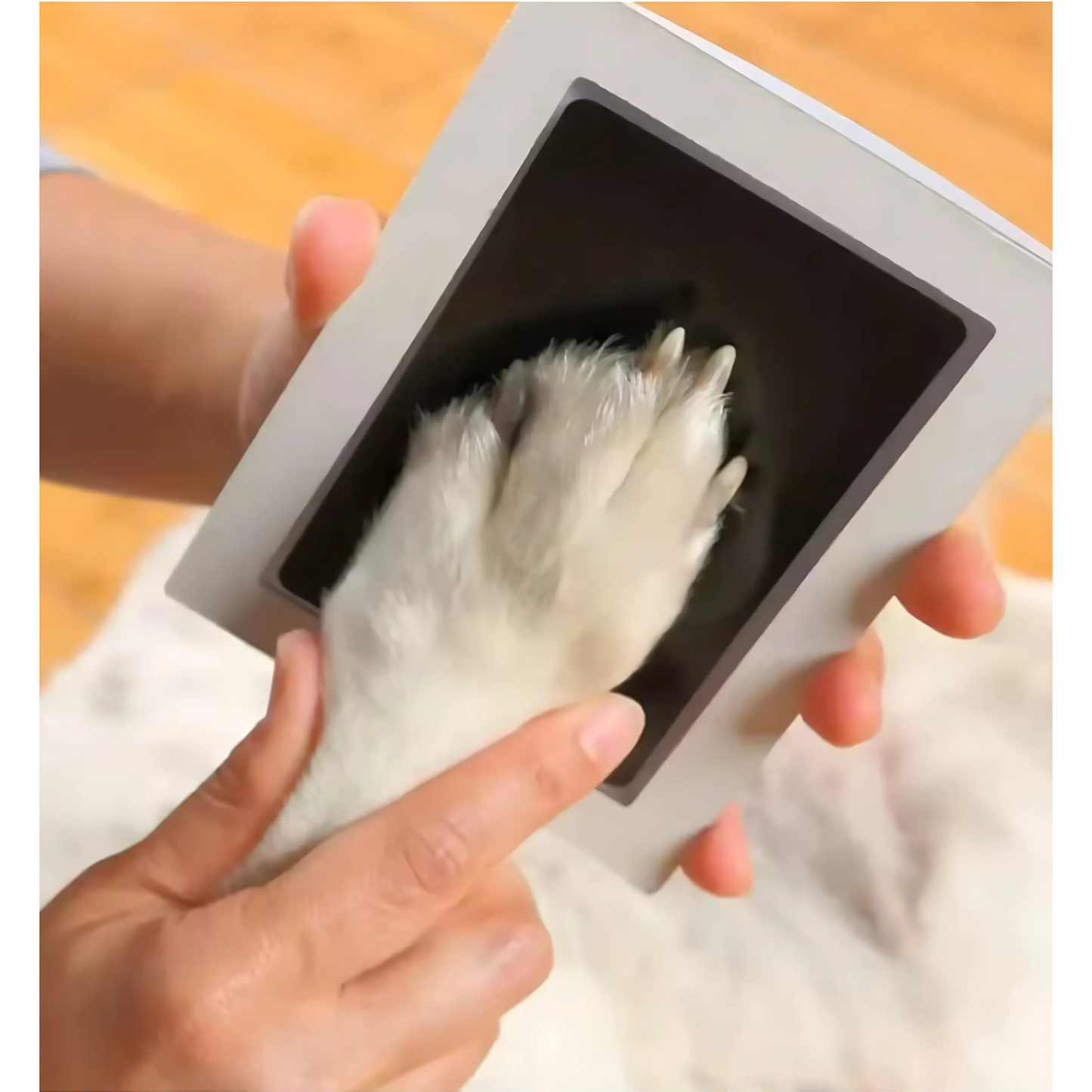 Pawtastic Prints