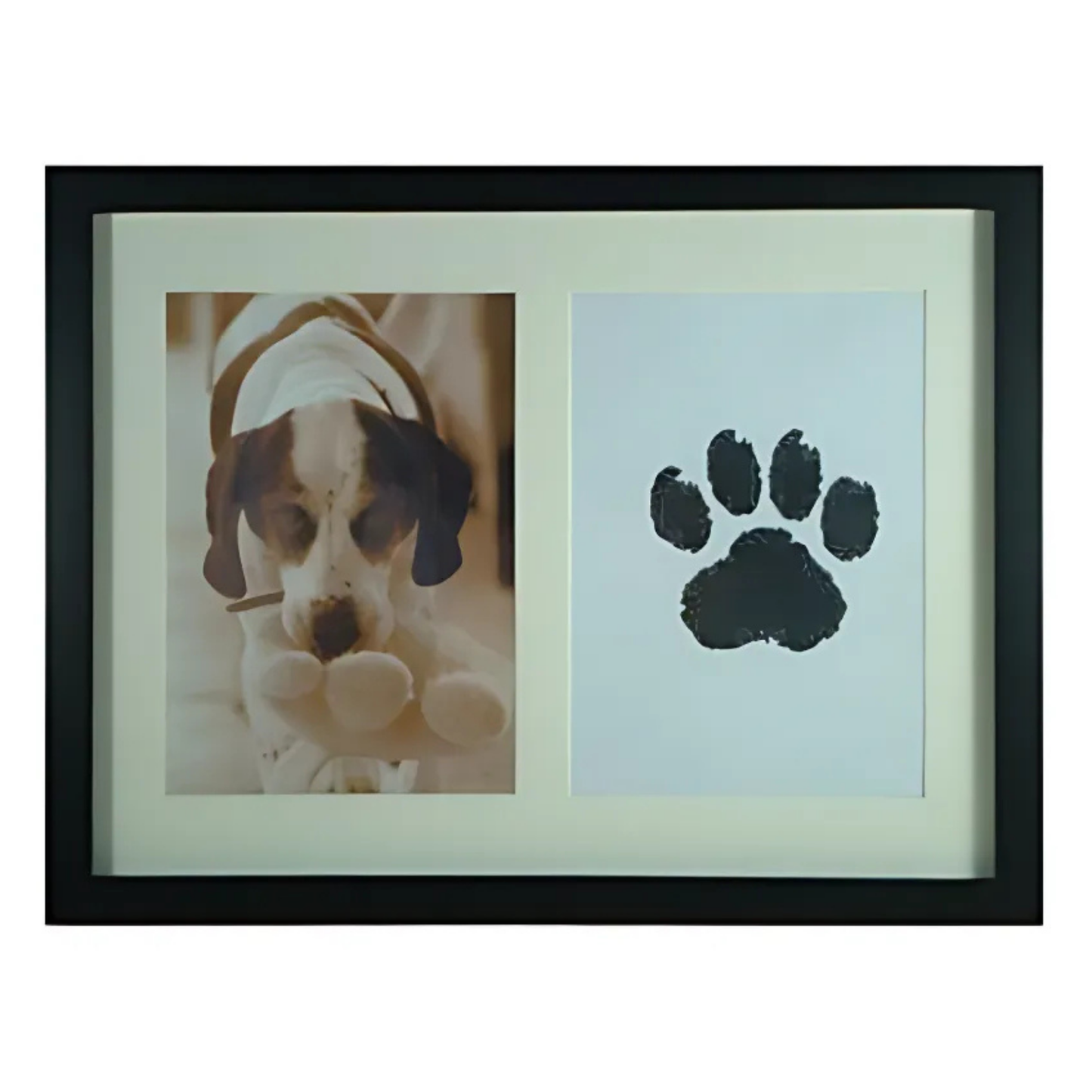 InkyPaws Prints