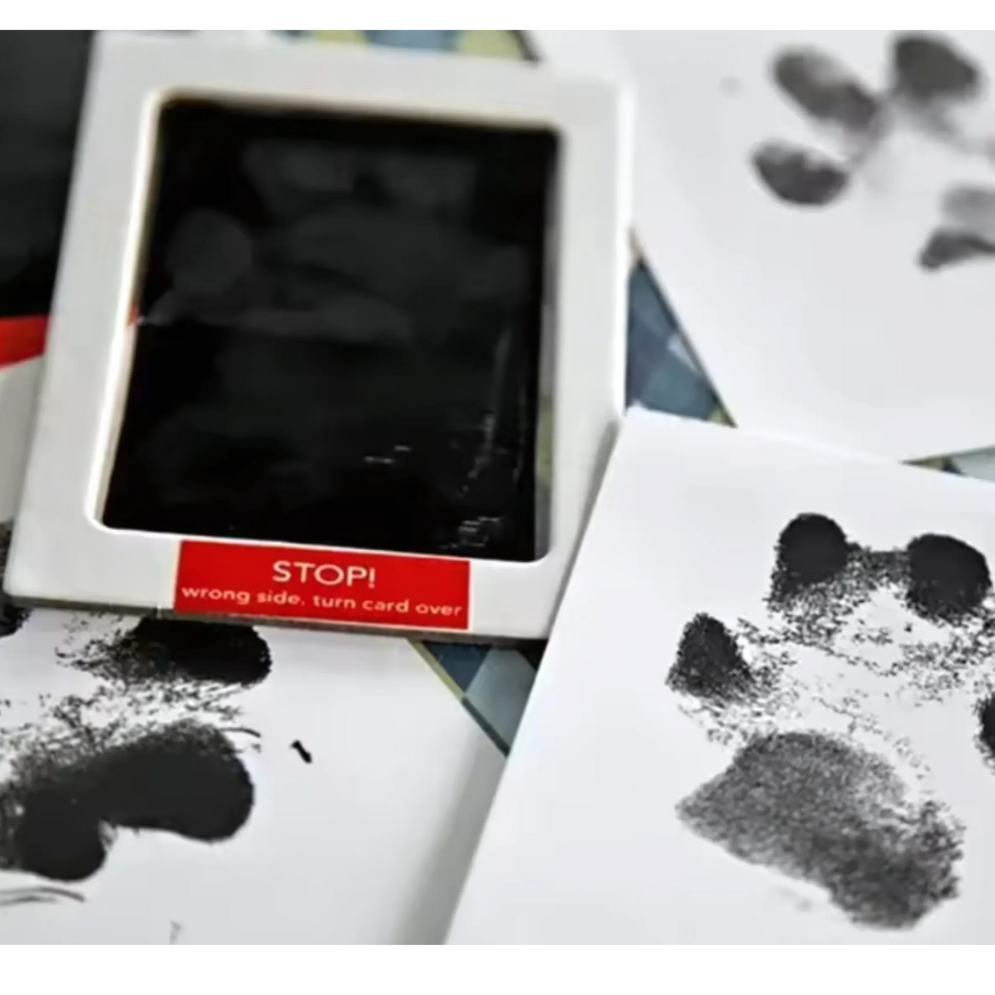 Pawtastic Prints