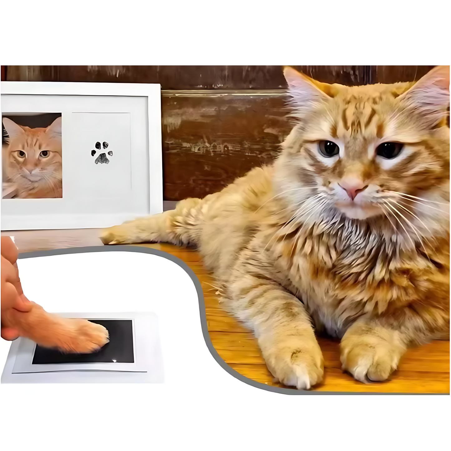 Pawtastic Prints