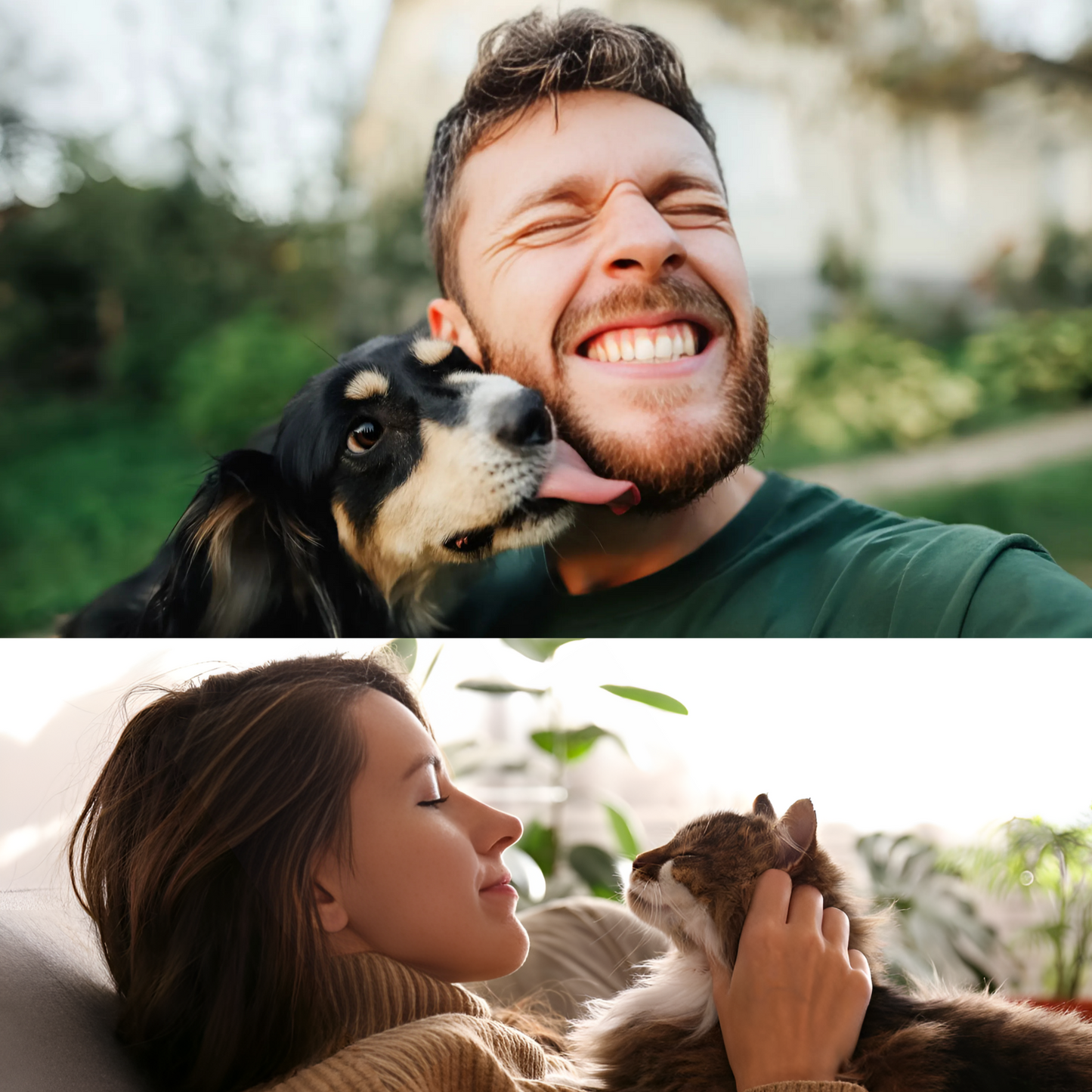 Pawtastic Prints